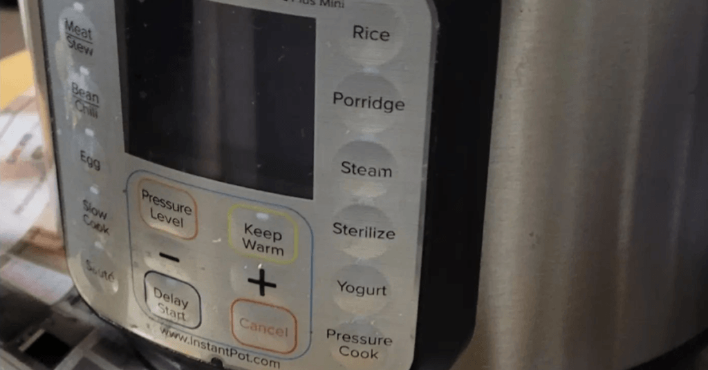 Are Instant Pots Good For Vegetarians