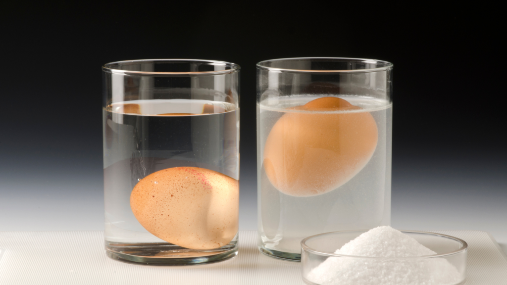 Science Behind Egg Cracking