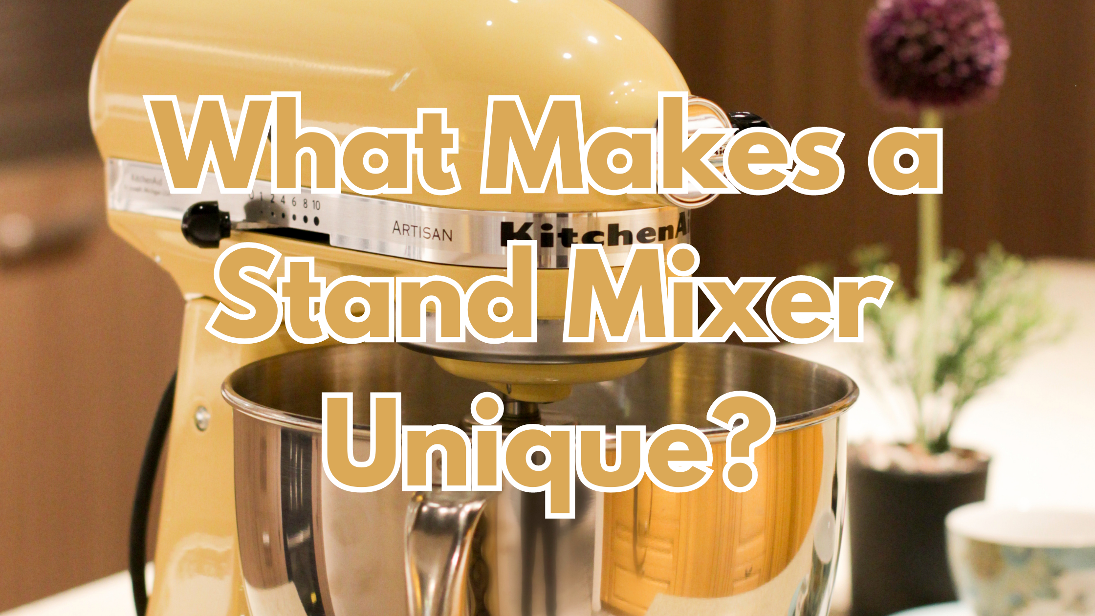 What Makes a Stand Mixer Unique?