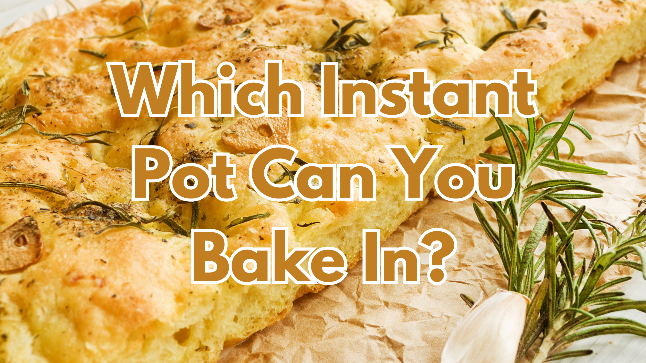 Which Instant Pot Can You Bake In